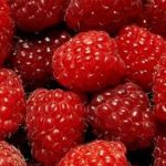 Raspberries